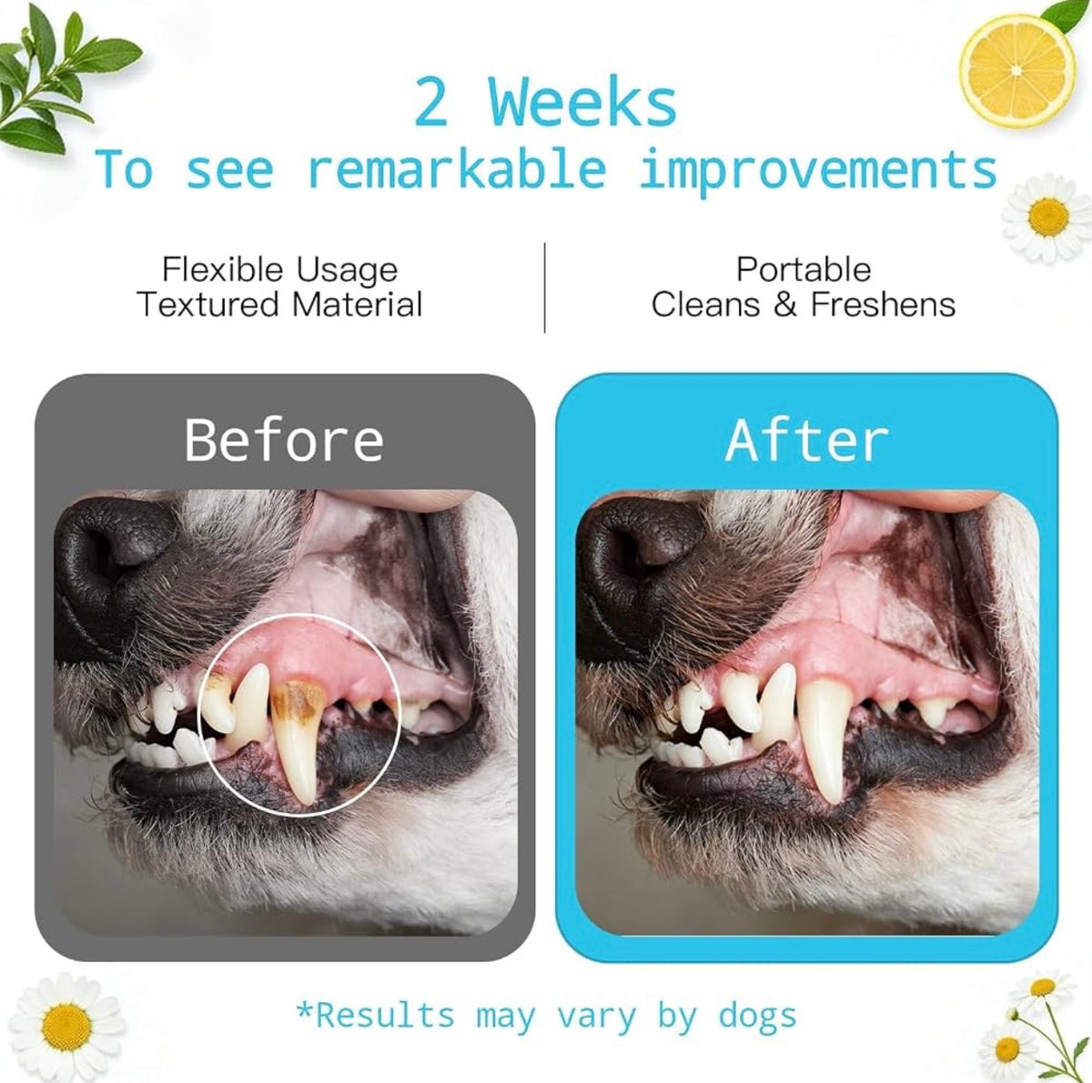 PetHaven FreshSmile™ Dental Finger Wipes