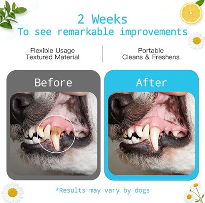 PetHaven FreshSmile™ Dental Finger Wipes