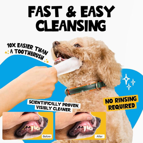 PetHaven FreshSmile™ Dental Finger Wipes